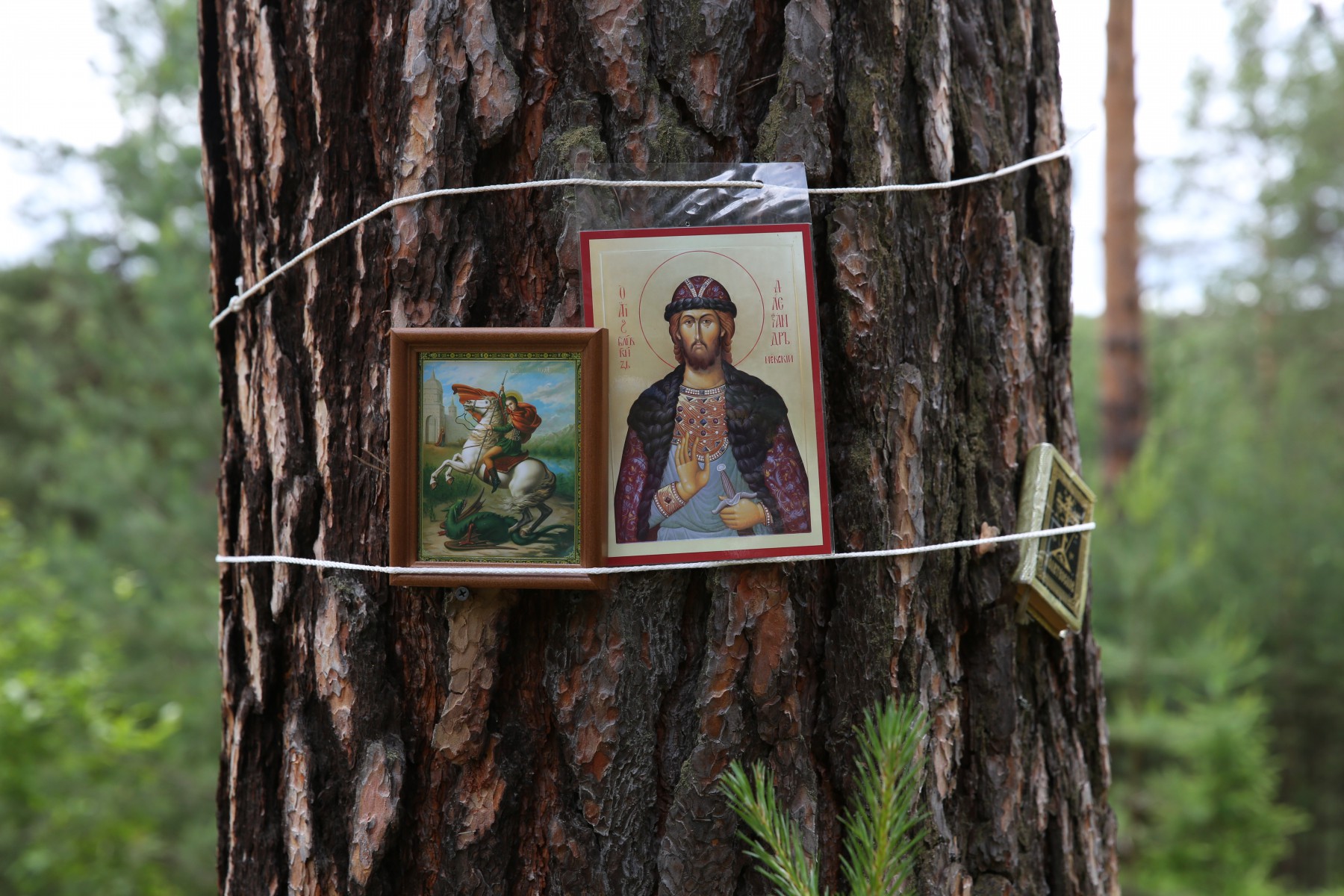 Обязательные атрибуты лесного лагеря православных следопытов. Фото Владимира Коцюбы-Белых