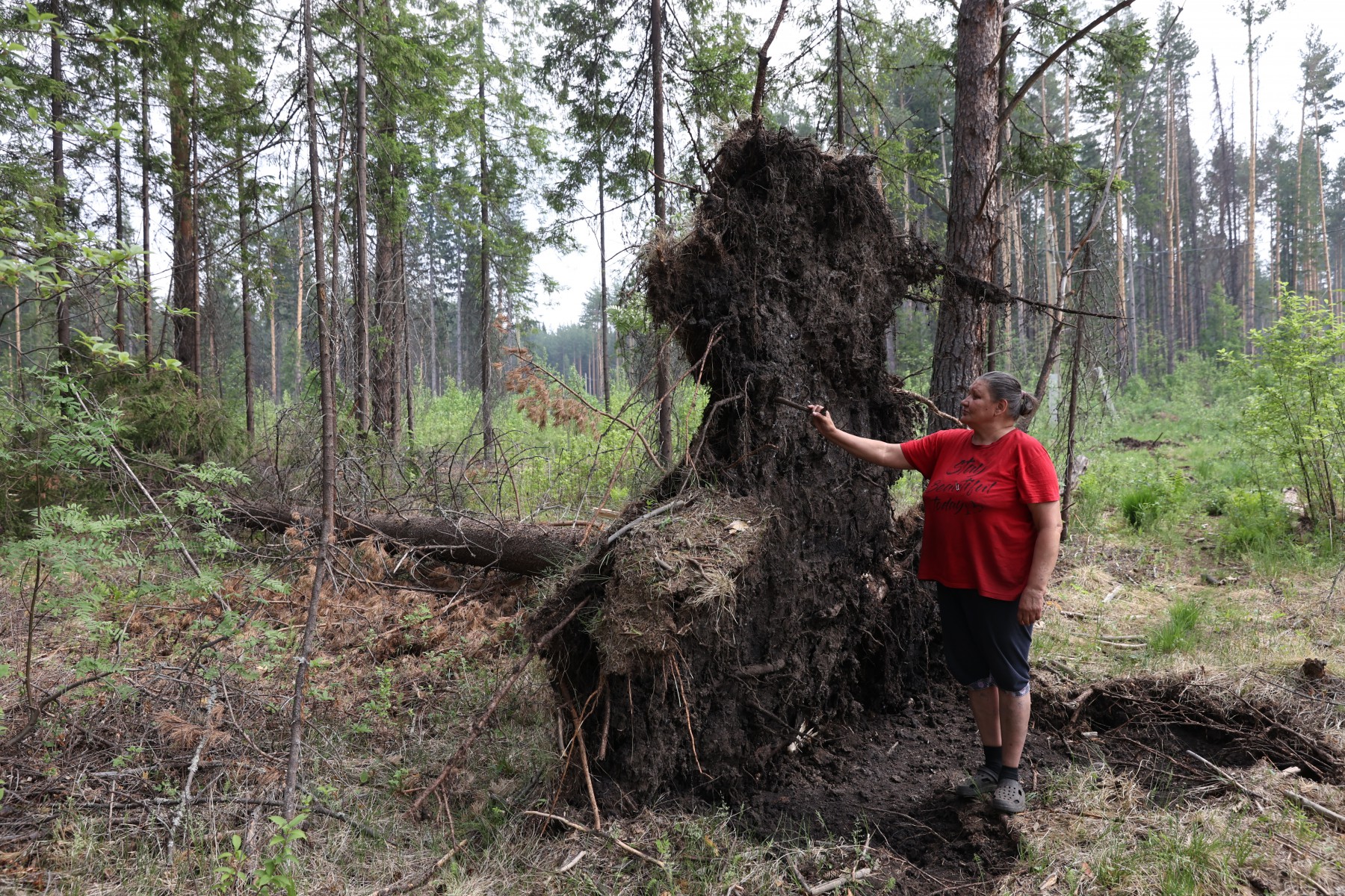 Марина Кашафутдинова показывает, какие деревья падают с соседнего участка. Фото Владимир Коцюба-Белых
