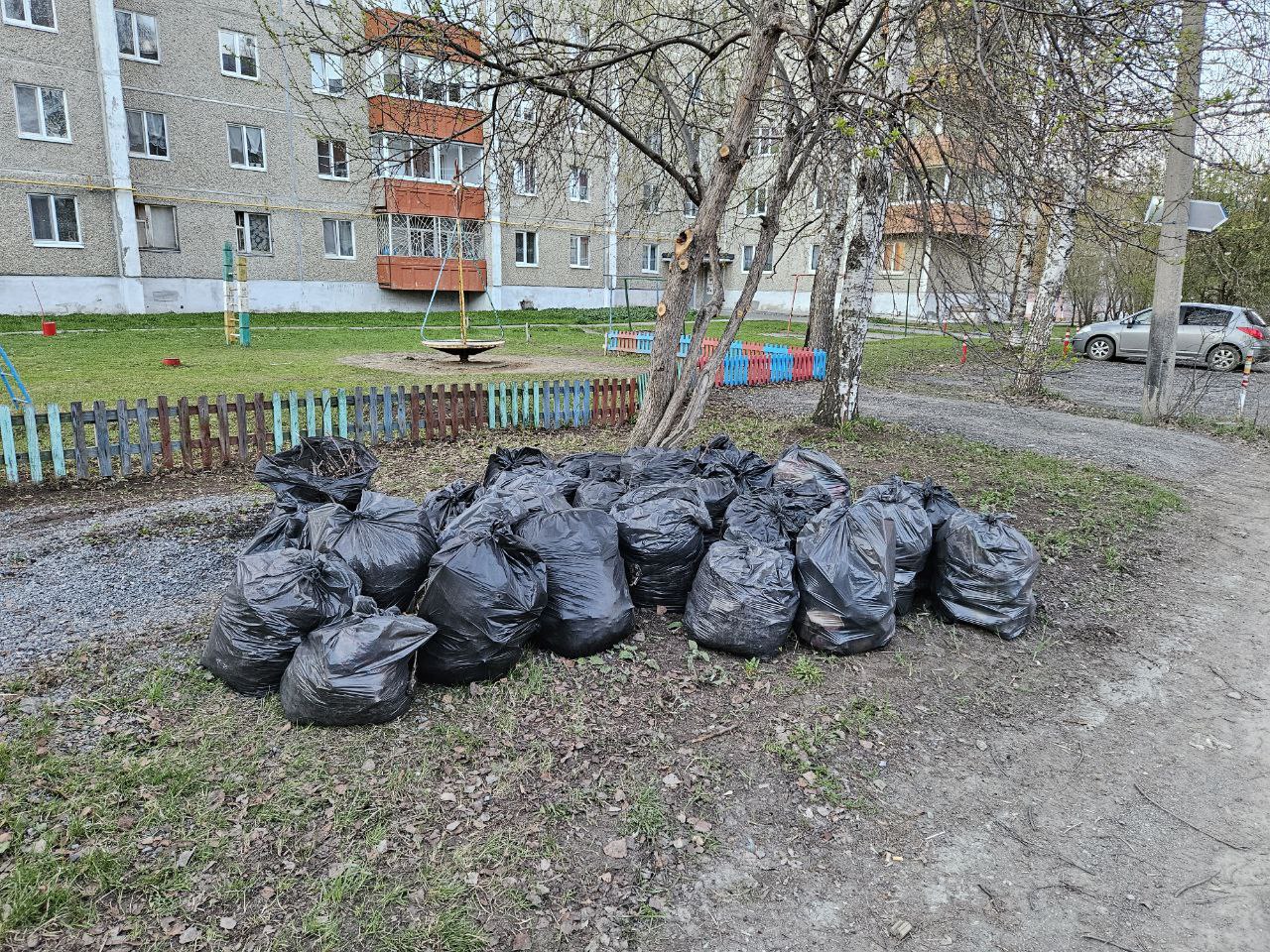 Десятки мусорных мешков, собранных Аленой и ее соседями, уже вывезли — успели до снегопада. Фото Ксении Даниловой