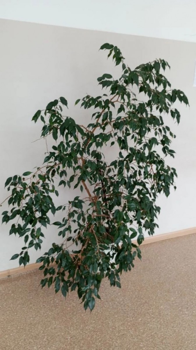 Фото Эвелины Вопиловой