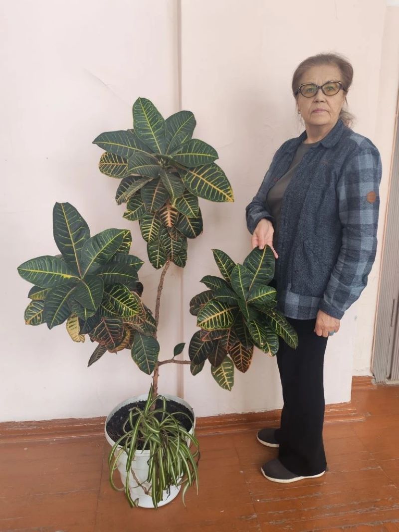 Учитель биологии Людмила Ефимова и кротон. Фото Эвелины Вопиловой