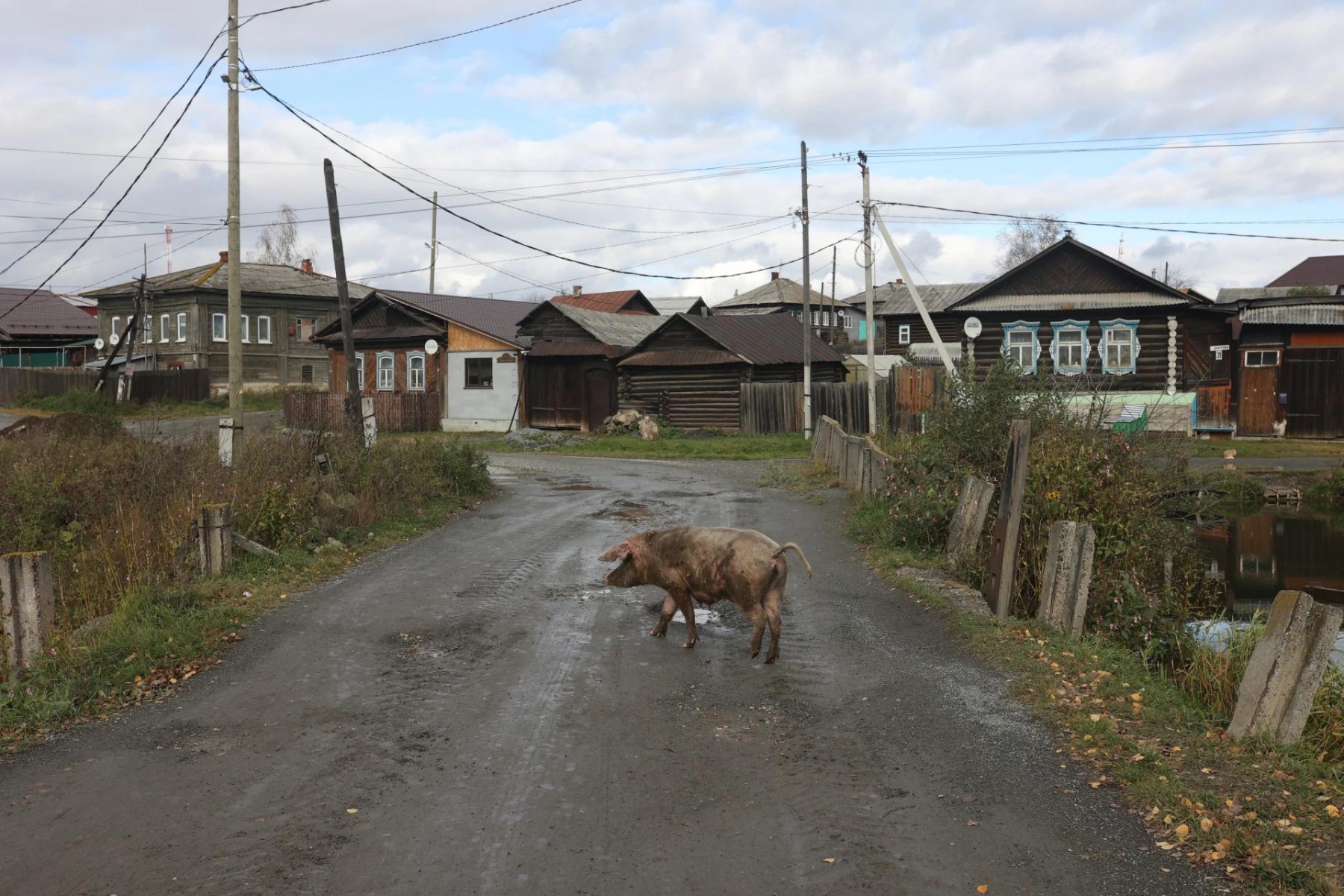 Фото Владимира Коцюбы-Белых