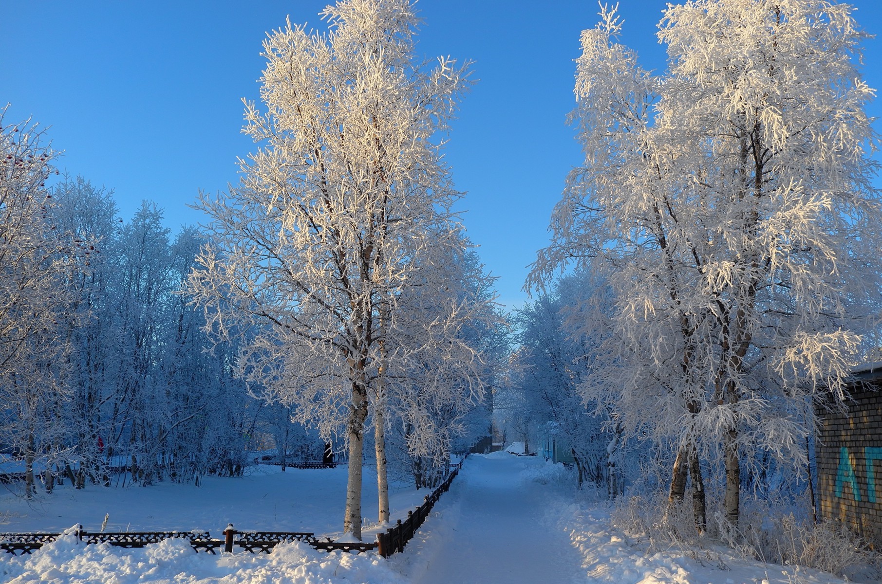 Суровые северные зимы. Фото предоставлено Виктором Кузнецовым