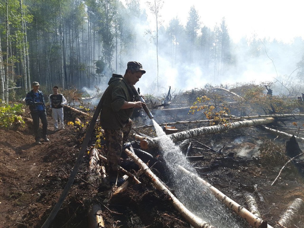 Тушение пожара на болоте Моховом возле Краснояра.