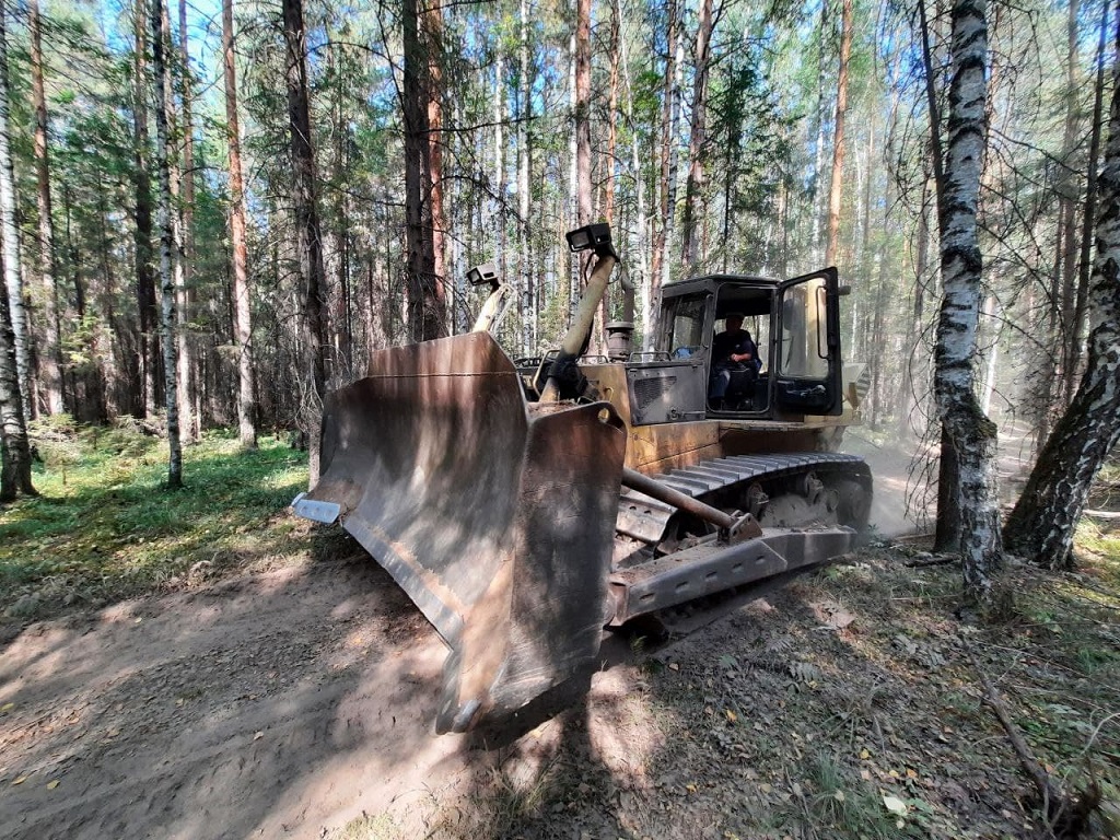 Сумзовский бульдозер работает в лесу под Краснояром.