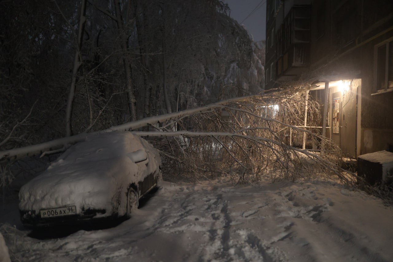 Несколько машин пострадало от свалившихся из-за снега деревьев. Фото Владимира Коцюбы-Белых