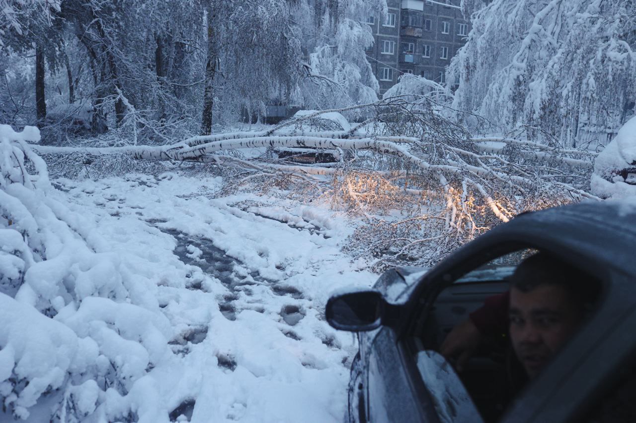 От тяжелого мокрого снега в городе рухнули десятки деревьев. Многие из них перегородили проезды и проходы во дворах. Фото Владимира Коцюбы-Белых