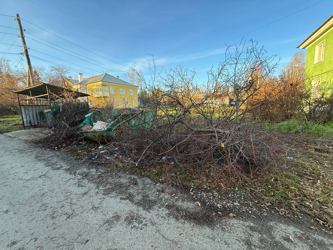 Как регоператор будет справляться с тем, что сейчас проиходит на контейнерных площадках, узнаем скоро. // Владимир Сухих