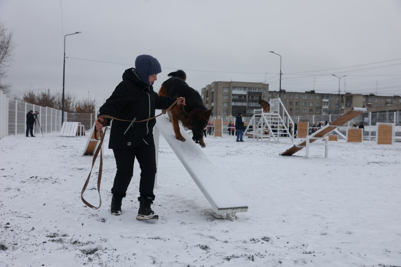 В клубе «Моя собака» есть питомцы, которые помогают в поимке правонарушителей. На мастер-классе гостям показали несколько таких приемов — от элементов задержания до контролируемого облаивания. Фото Владимира Коцюбы-Белых